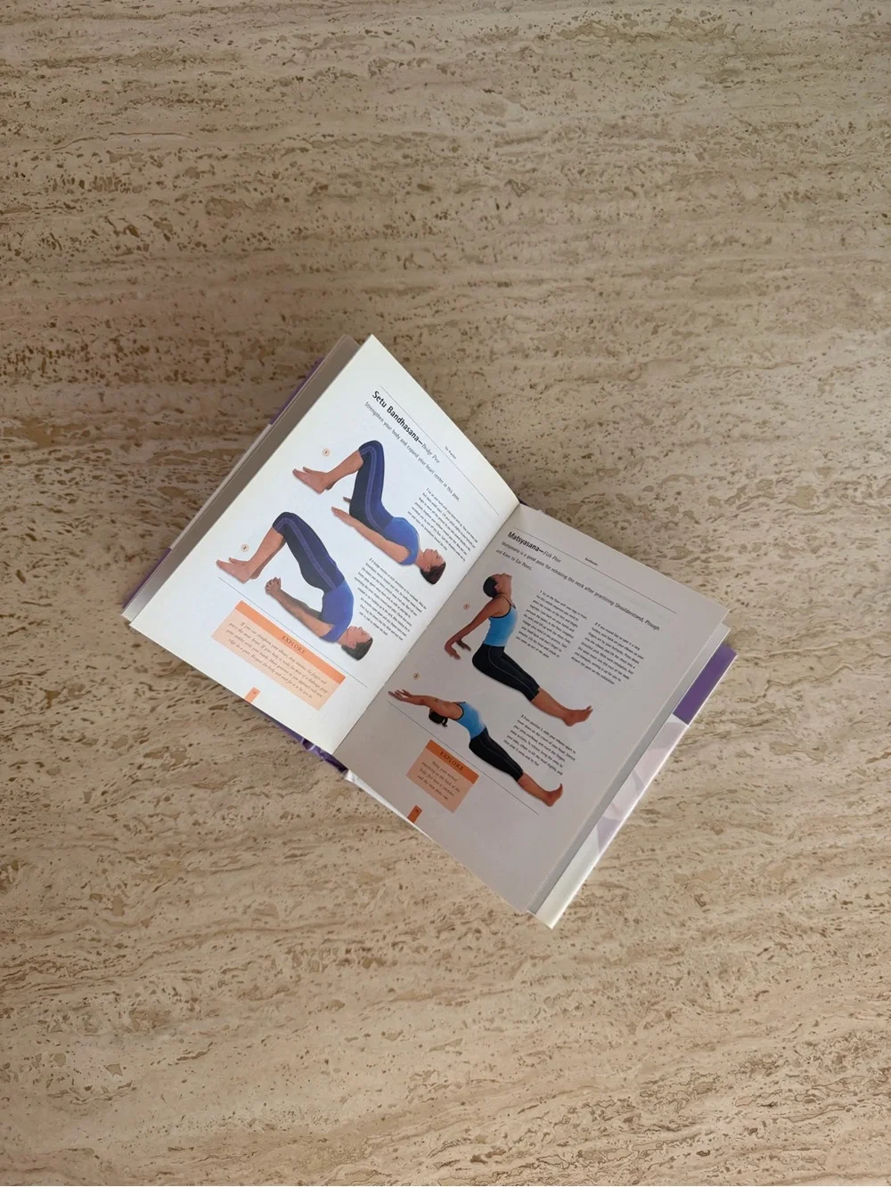 The Book of Yoga